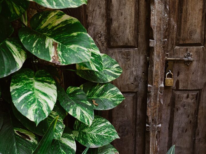 Stone Town Heritage walk