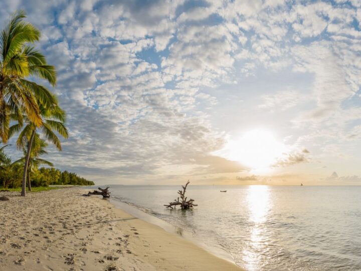 Prison Island Journey
