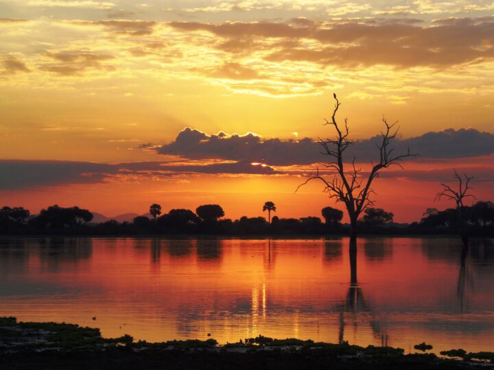 Selous Game Reserve